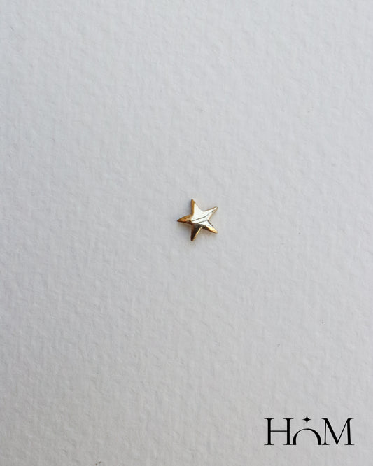 STAR EARRINGS