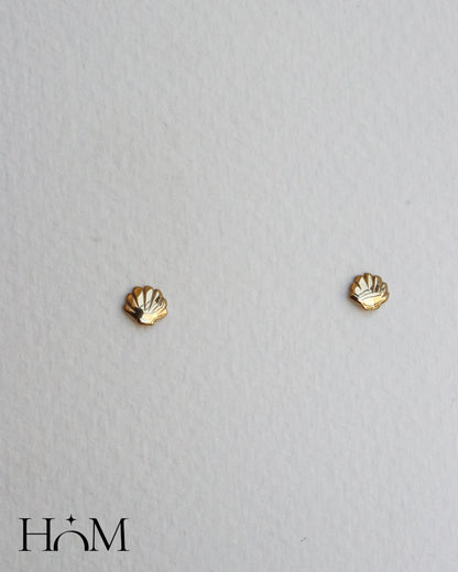 SHELL EARRINGS